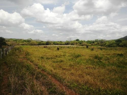 Finca en los Tablones
