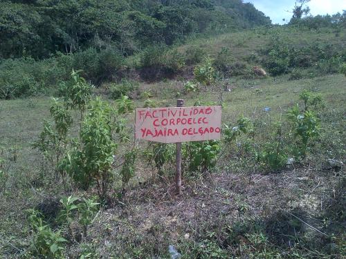 Terreno en venta negociable 