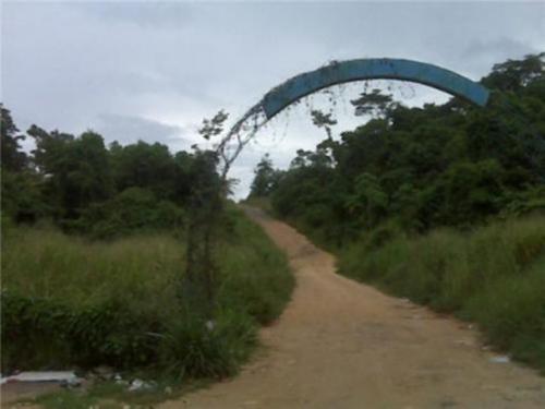 vendo terreno en higuerote