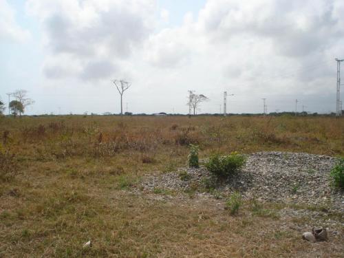 Venta de Terreno en Chichiriviche Ciudad Flamingo Código 14-3231