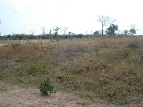 Venta de Terreno en Chichiriviche Ciudad Flamingo Código 14-3230 