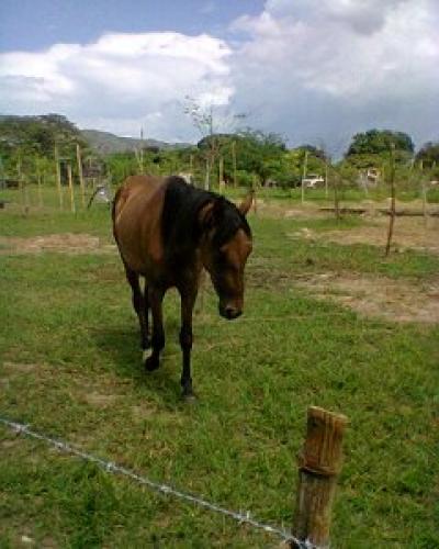 Ideal para Vivienda: Parcela en Yagua