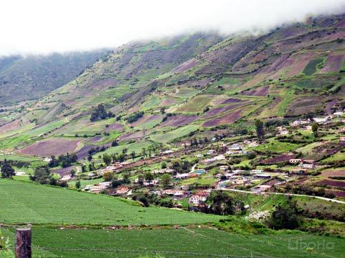 VENDO TERRENO EN ESCAGUEY ALTO MERIDA VENEZUELA