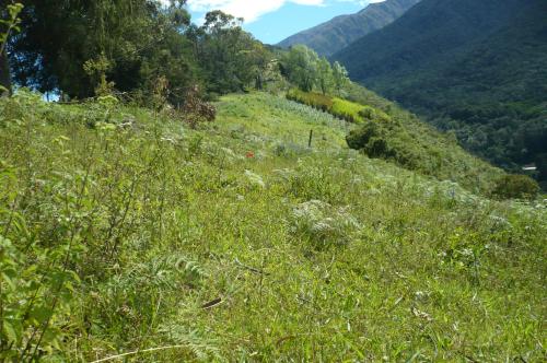 Quieres vivir en un lugar idilico y soñado por la belleza, tranquilidad y seguridad?