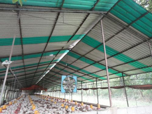 EN VENTA GRANJA AVICOLA