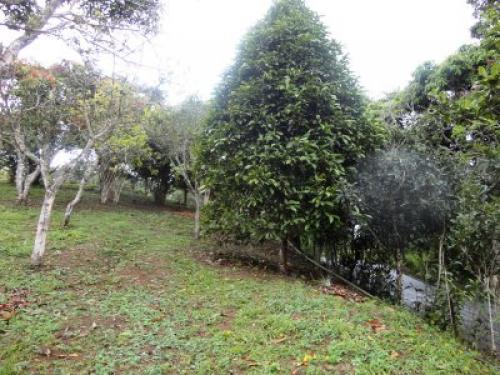 VENDO EXPECTACULAR TERRENO