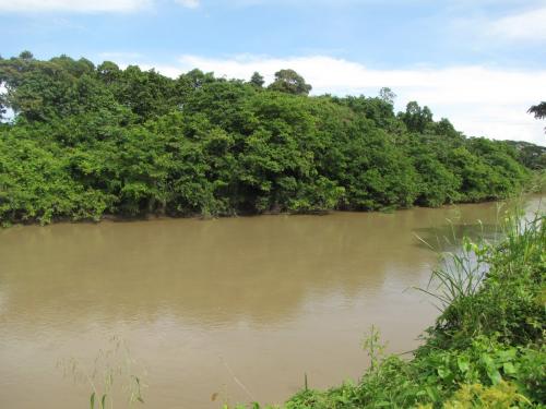 VENDO FINCA EN GUANARITO EDO PORTUGUESA