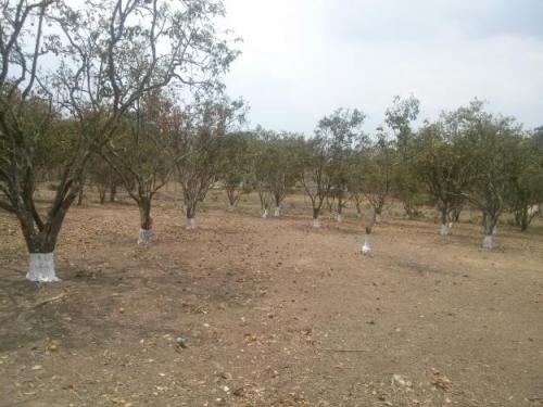 SE VENDE PARCELA EN AGUIRRE