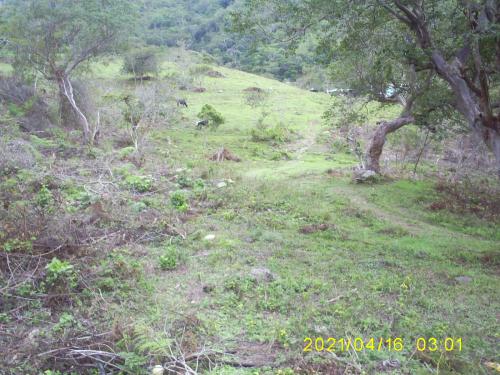 EN MERIDA SE VENDEN TERRENOS EN MÉRIDA, SECTOR LA JOYA, MÉRIDA