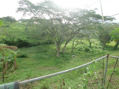 Vendo mi hermosa casa de campo