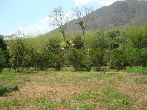 Terreno en venta.