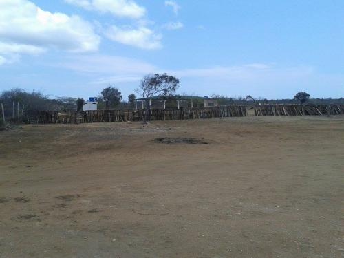 UN PARAISO EN PUNTA ARENA