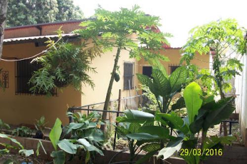 Vendo Casa Guacamaya..
