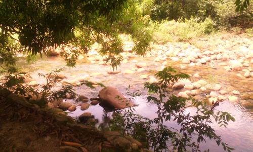 Excelente Hectarea Ubicacada en San Juan
