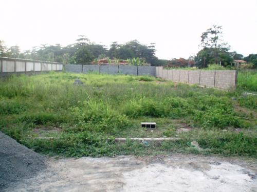 mercedes de paparo parcela de 1000 mts, con muros perimetrales a pocos metros del canal navegable y a 100 mts de la playa.excelente ubicacion calle pr