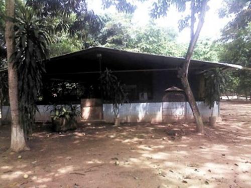 Century21, Titanium, Vende Finca Agroproductiva, La MArioposa, CArabobo, Libertador MS