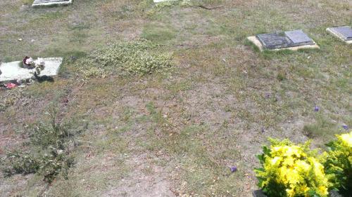 PARCELA DE CEMENTERIO CAMPOSANTO, SECTOR MACHO MUERTO, PORLAMAR