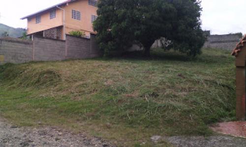 TERRENO URB MONS BRICEÑO-TARIBA-CARDENAS-TACHIRA