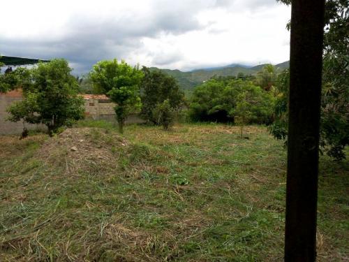 Sky Group vende Terreno en Yagua  