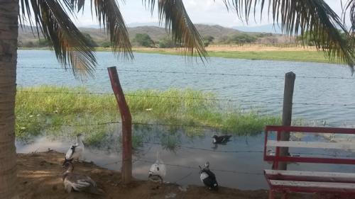 Finca en Carretera Variante Sur de Coro
