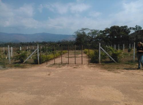 venta de terreno lote 40 bejuma