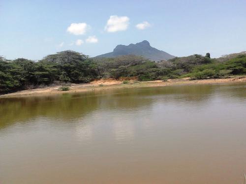 Se Vende Excelente Finca en Buena Vista