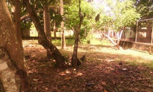 Se vende Gran Hectarea en Cumana Edo. Sucre Ubicada en San Juan