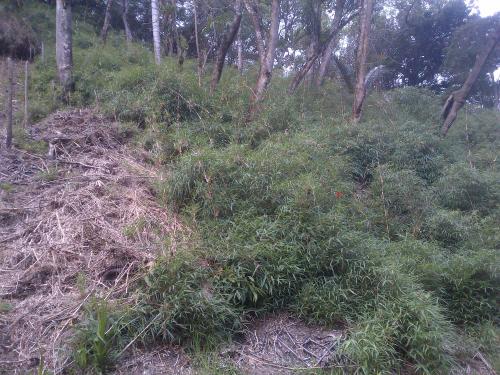 SE VENDE TERRENO A 10 MIN DE LA COLONIA TOVAR