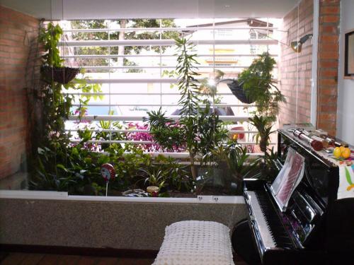 BELLA QUINTA ACTUALIZADA