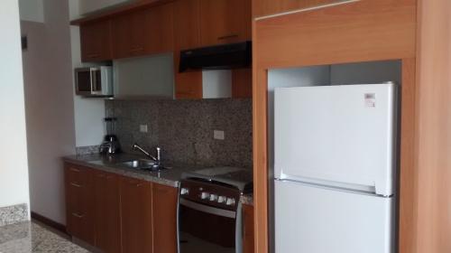 ALQUILER DE APTO EJECUTIVO EQUIPADO RENTA POR DIA