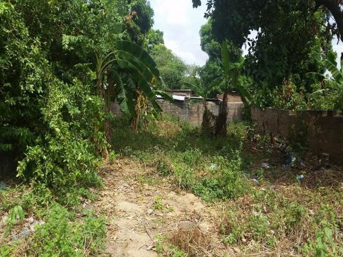 SE VENDE TERRENO CERCA DE LA AVENIDA MENCA DE LEONI, HERES -  CIUDAD BOLÍVAR