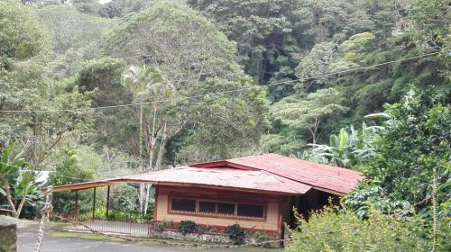 Vendo hacienda cafetalera en Panamá 