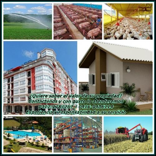 Avaluo y peritaje integral, casas, apartamentos, locales, fincas, terrenos, materiales y mercancías.