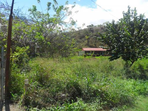   Amplio Terreno con Bienechuria en La Cumaca.