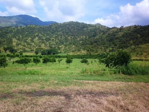 C&G Consultores ofrece en venta, FINCA MULTIPROPOSITO EN MARIARA