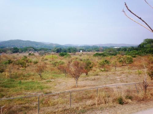 C&G Consultores ofrece en venta, GRANJA AVICOLA EN TAGUANES - TINAQUILLO.