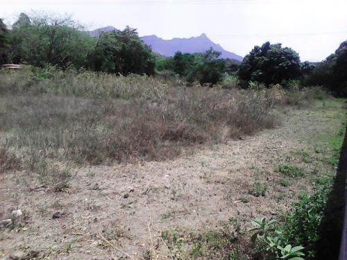 C&G Consultores ofrece en venta Terreno en Zona Norte de San Diego-Carabobo.