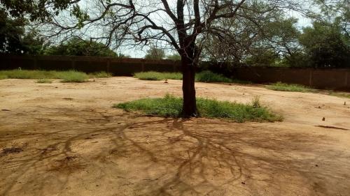 se vende terreno  perfecto para galpones en la av. lara-zulia 