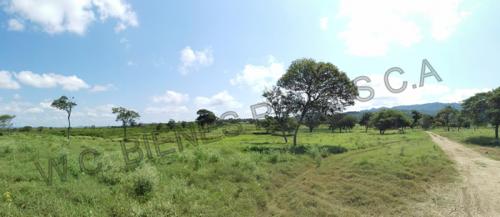 SE VENDE FINCA EN JACURA, EDO FALCON