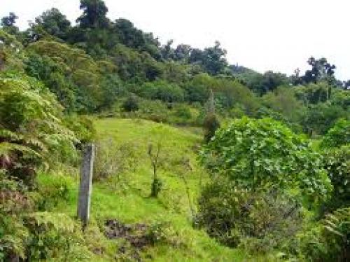 terreno en venta para siembra