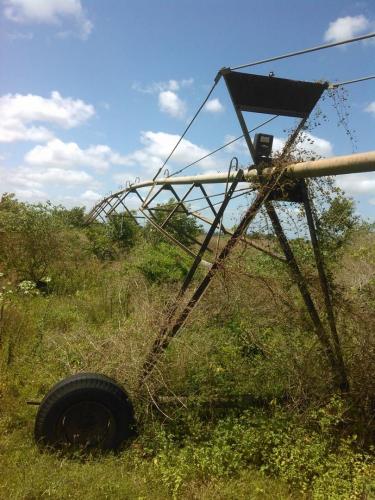 Se Vende Finca en Barrancas del Orinoco