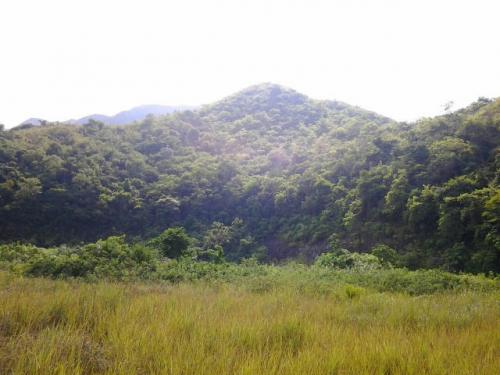 TERRENO EN VENTA MAÑONGO MLS #16-4750