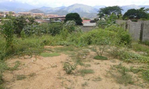 Terreno Cua Yuleisy Clavijo