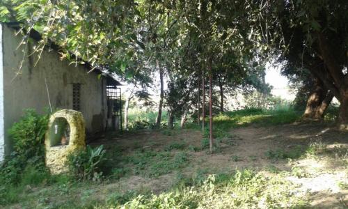 OPORTUNIDAD en venta terreno en san joaquin