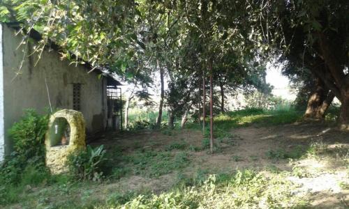 OPORTUNIDAD en venta terreno con casa en san joaquin