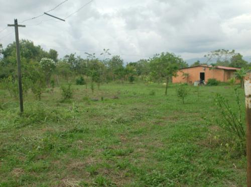 finca 