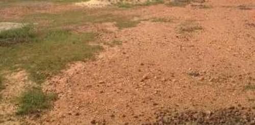 PARCELA DE TERRENO EN SECTOR LA ENCANTADA NUEVA BARCELONA