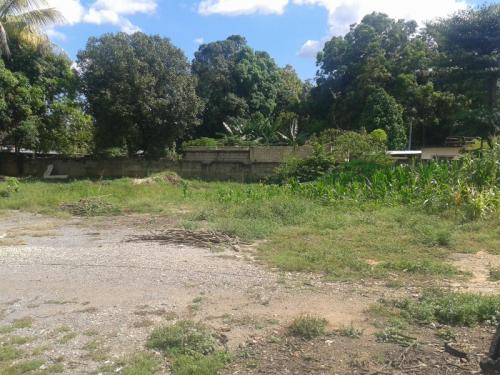 Terreno en Tinaquillo (Cód. MAT-99)