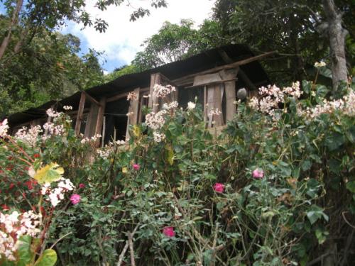 Terreno en San Diego de Los Altos, a 15 minutos del pueblo.