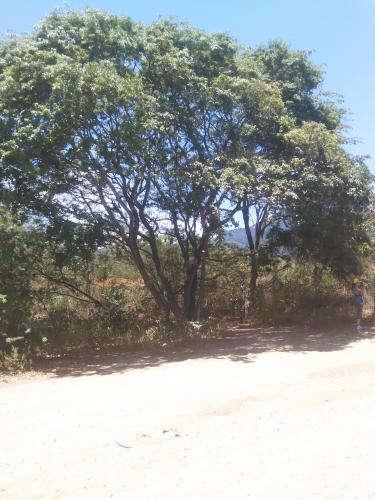 Vendo terreno en la Isla de Margarita